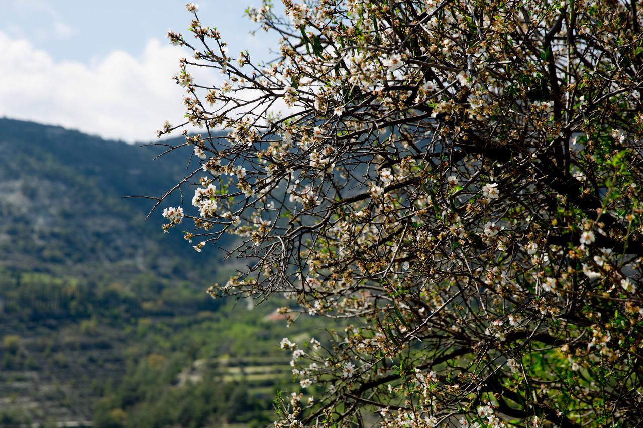 The Old Olive Mill House By Trulycyprus Villa Dhoros Dış mekan fotoğraf
